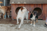 /album/261/whatsapp-image-2026-03-11-at-21-02-02-2-jpeg/